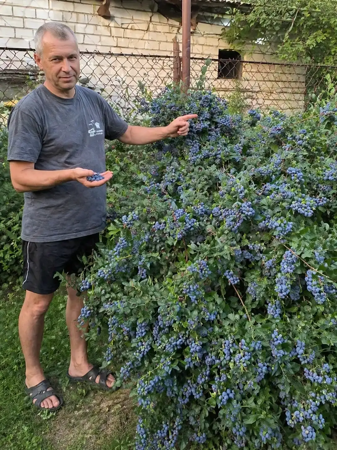 Лохина Мелана фото 4